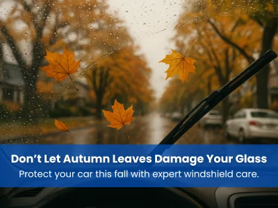how fall leaves can cause windshield chips and cracks in St Catherines